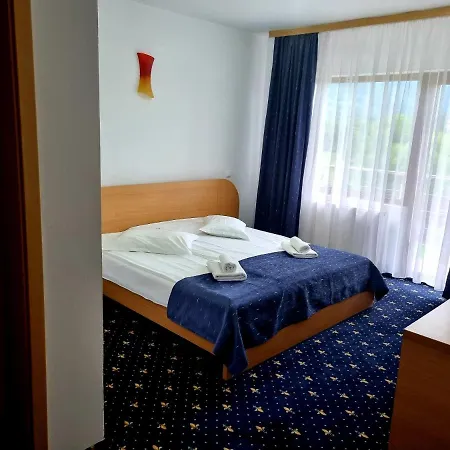 Pensiunea Riffelt Guest house 4*
