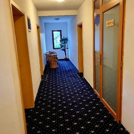 Pensiunea Riffelt Guest house Bran (Brasov)