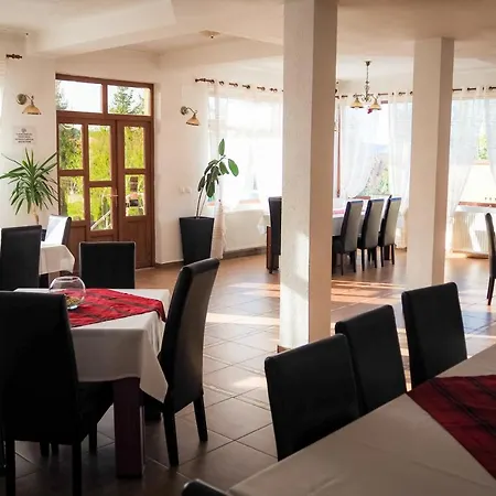 Guest house Pensiunea Riffelt