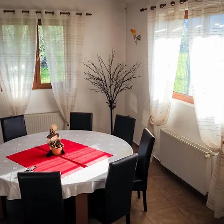 Guest house Pensiunea Riffelt 4*