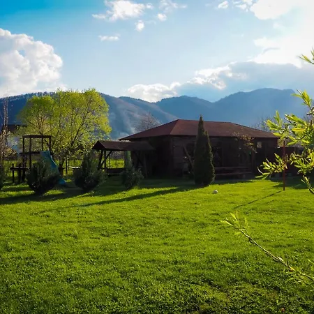 Guest house Pensiunea Riffelt Bran (Brasov)