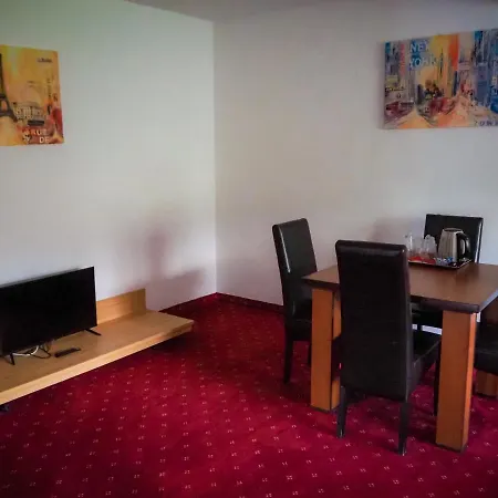 Guest house Pensiunea Riffelt 4*
