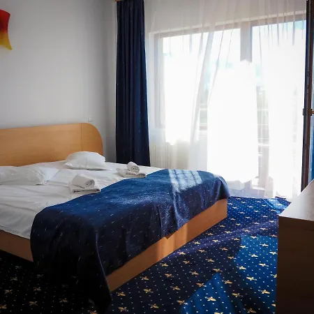 Pensiunea Riffelt Guest house 4*