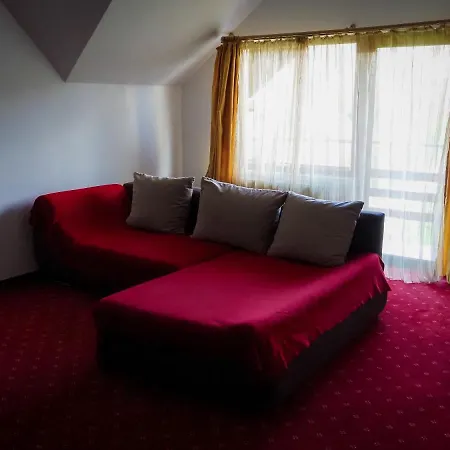 Pensiunea Riffelt Guest house 4*