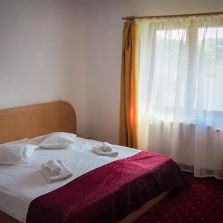 Guest house Pensiunea Riffelt 4*