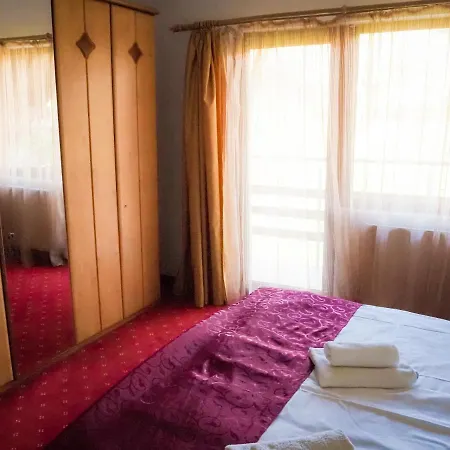 Guest house Pensiunea Riffelt